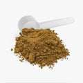 Mushroom Instant Coffee – Lion's Mane & Functional Mushroom Blend | Medium Roast