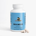 Sea Moss